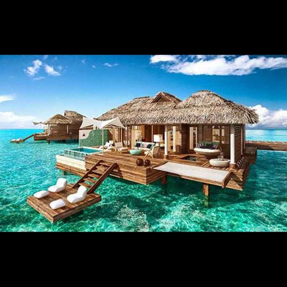 Meet your Posher, Michelle - Picture 1 of 1